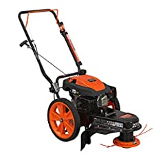 YARDMAX YL2250 22 in. 170cc Gas Walk Behind String for sale  Delivered anywhere in USA 