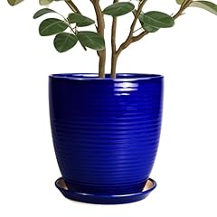 Epfamily ceramic planter for sale  Delivered anywhere in USA 
