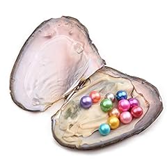 Jnmm pearl oyster for sale  Delivered anywhere in USA 