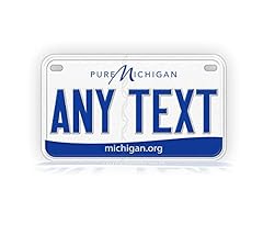 Pure michigan custom for sale  Delivered anywhere in USA 