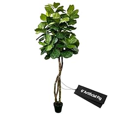 Fiddle leaf fig for sale  Delivered anywhere in USA 