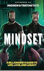Mindset billionaire guide gebraucht kaufen  Wird an jeden Ort in Deutschland