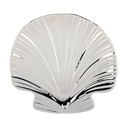 Silver coast shell for sale  Delivered anywhere in USA 