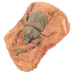 Iplusmile ancien fossile d'occasion  Livré partout en France