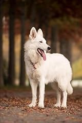 White german shepherd for sale  Delivered anywhere in UK