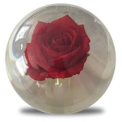 Clear red rose for sale  Delivered anywhere in UK