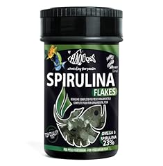 Haquoss spirulina chlorella usato  Spedito ovunque in Italia 