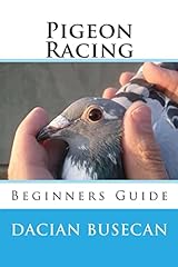 Pigeon racing beginners for sale  Delivered anywhere in UK
