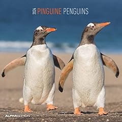 Pinguine 2024 broschürenkalen gebraucht kaufen  Wird an jeden Ort in Deutschland