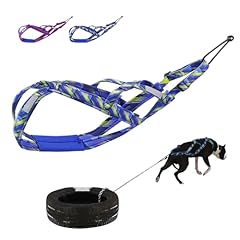 Pet artist dog for sale  Delivered anywhere in USA 