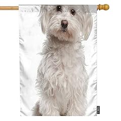 Maylovely cute dog for sale  Delivered anywhere in USA 