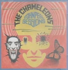 Chameleons for sale  Delivered anywhere in UK