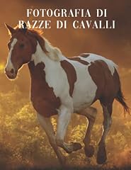 Fotografia razze cavalli usato  Spedito ovunque in Italia 