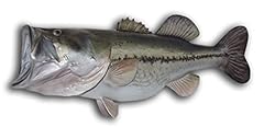 Largemouth bass fish for sale  Delivered anywhere in USA 
