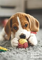 Agenda scolaire chien d'occasion  Livré partout en France