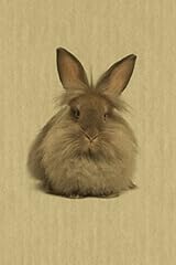 Lionhead artified pets for sale  Delivered anywhere in USA 