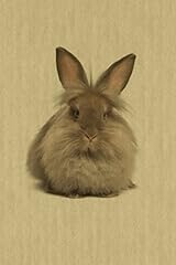 Lionhead artified pets for sale  Delivered anywhere in USA 