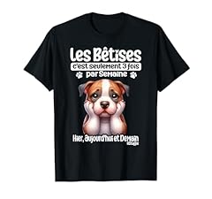 Staffordshire bull terrier d'occasion  Livré partout en France