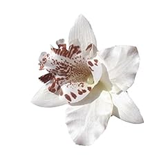 Orchid hair clip for sale  Delivered anywhere in UK