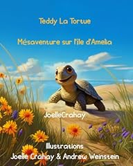 Teddy tortue mesaventure d'occasion  Livré partout en France