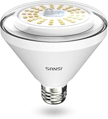 Sansi 200w equivalent for sale  Delivered anywhere in USA 