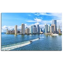 Adern miami skyline for sale  Delivered anywhere in USA 