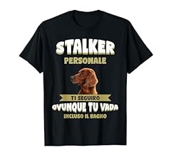 Setter irlandese cane usato  Spedito ovunque in Italia 
