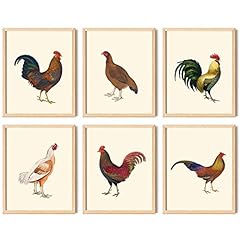 Decor vintage chicken for sale  Delivered anywhere in USA 