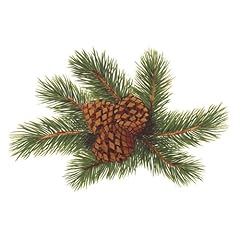 Pine cone pinecone for sale  Delivered anywhere in USA 