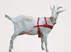 Goat pulling harness for sale  Delivered anywhere in USA 
