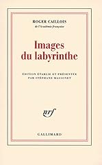 Images labyrinthe usato  Spedito ovunque in Italia 
