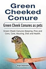 Green cheeked conure. for sale  Delivered anywhere in USA 