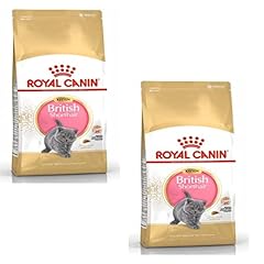 Royal canin british usato  Spedito ovunque in Italia 
