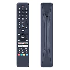 Gouyesho rc45160 rc43160 usato  Spedito ovunque in Italia 