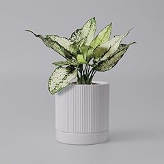 Herduk inch ceramic for sale  Delivered anywhere in USA 