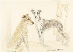 Lurchers ge163 lurchers for sale  Delivered anywhere in UK