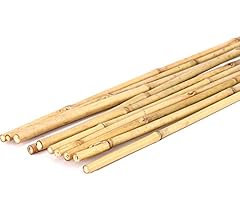 Bambou tubes tonkin d'occasion  Livré partout en France