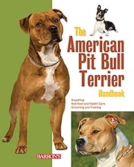 American pit bull for sale  Delivered anywhere in USA 