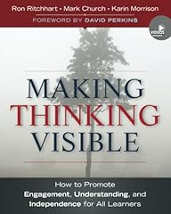 Making thinking visible for sale  Delivered anywhere in USA 