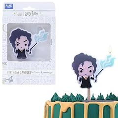 Pme harry potter usato  Spedito ovunque in Italia 