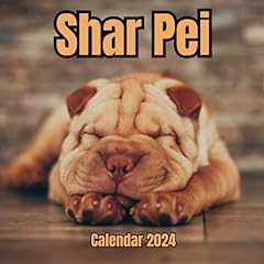 Shar pei calendar gebraucht kaufen  Wird an jeden Ort in Deutschland