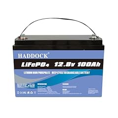 Lifepo4 batteria 12v usato  Spedito ovunque in Italia 