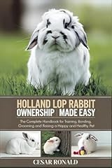 Holland lop rabbit for sale  Delivered anywhere in USA 