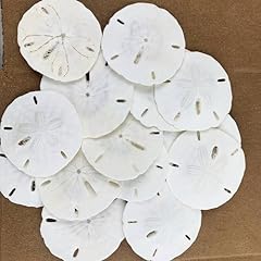 Heyiwell natural white for sale  Delivered anywhere in USA 