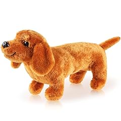 Zjoey dachshund dog for sale  Delivered anywhere in USA 