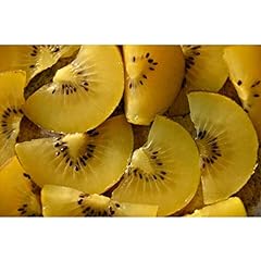 Golden kiwi fruit for sale  Delivered anywhere in USA 