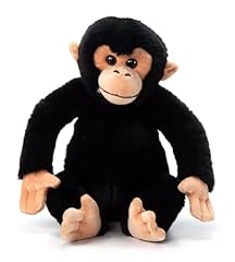 Petting zoo chimp for sale  Delivered anywhere in USA 