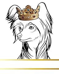 Chinese crested dog for sale  Delivered anywhere in UK