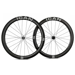 Ican alpha disc gebraucht kaufen  Wird an jeden Ort in Deutschland
