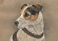 Large jack russell for sale  Delivered anywhere in UK